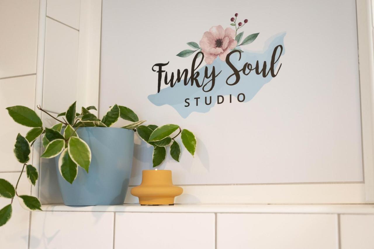Funky soul studio Zirovnica Exteriér fotografie